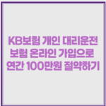 KB보험 개인 대리운전 보험 온라인 가입으로 연간 100만원 절약하기 1 image 22