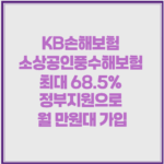 KB손해보험 소상공인풍수해보험 최대 68.5% 정부지원으로 월 만원대 가입 1 image 33