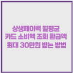 상생페이백 월평균 카드 소비액 조회 환급액 최대 30만원 받는 방법 1 image 36