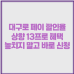 대구로 페이 할인율 상향 13프로 혜택 놓치지 말고 바로 신청 1 image 46